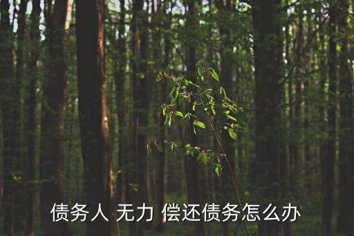 欠錢無力償還怎么辦,還不上信用卡和網(wǎng)貸到底怎么辦