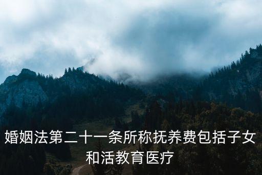 婚姻法第二十一條所稱撫養(yǎng)費(fèi)包括子女和活教育醫(yī)療
