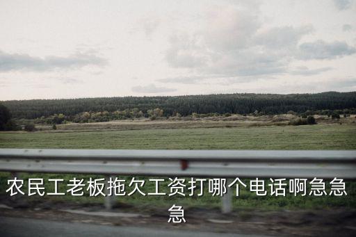 拖欠工資打什么電話，請問拖欠民工工資應該打哪個電話投訴