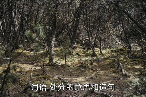 處分是什么意思,學校處分是什么意思
