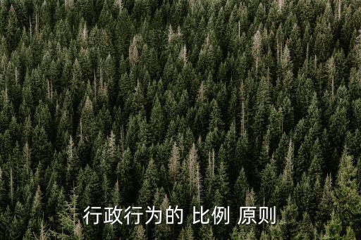 比例原則