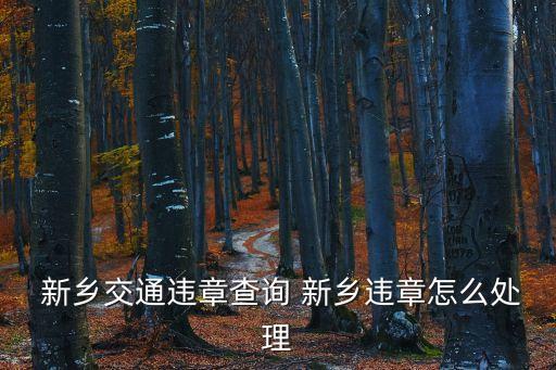  新鄉(xiāng)交通違章查詢 新鄉(xiāng)違章怎么處理