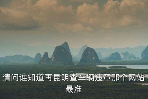 請問誰知道再昆明查車輛違章那個網(wǎng)站最準(zhǔn)