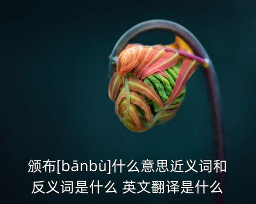 法令條例的英文,頒布法令英文