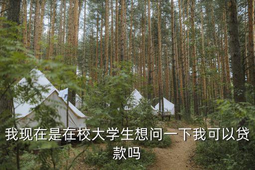 大學(xué)生可以貸款嗎，我現(xiàn)在是在校大學(xué)生想問一下我可以貸款嗎