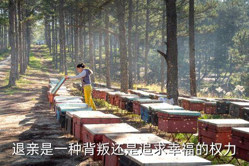 退親，訂婚以后退親法律有規(guī)定