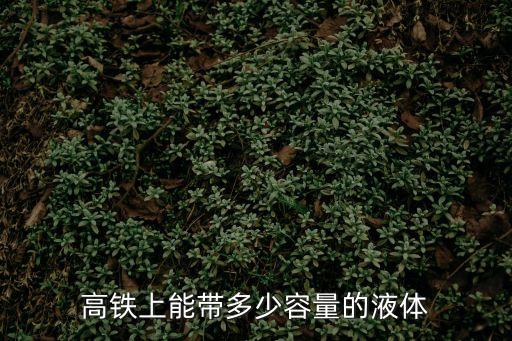高鐵上能帶多少容量的液體