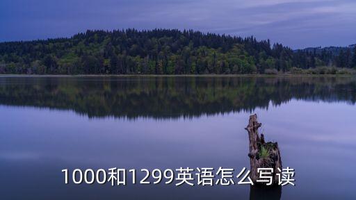 1299什么意思，1123啥意思