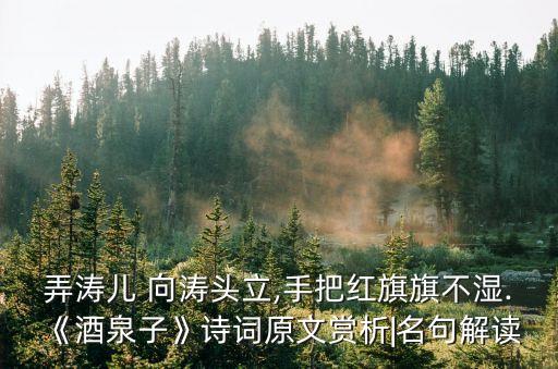 弄濤兒 向濤頭立,手把紅旗旗不濕.《酒泉子》詩(shī)詞原文賞析|名句解讀