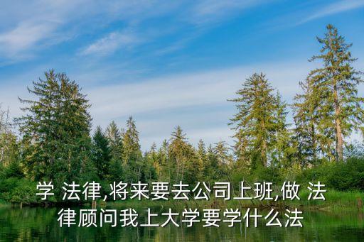 學(xué) 法律,將來要去公司上班,做 法律顧問我上大學(xué)要學(xué)什么法