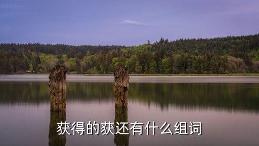 得獲，獲得得到區(qū)別是