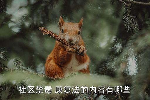 社區(qū)禁毒 康復(fù)法的內(nèi)容有哪些