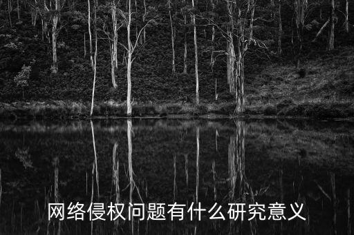 網(wǎng)絡(luò)侵權(quán)，關(guān)于網(wǎng)站侵權(quán)