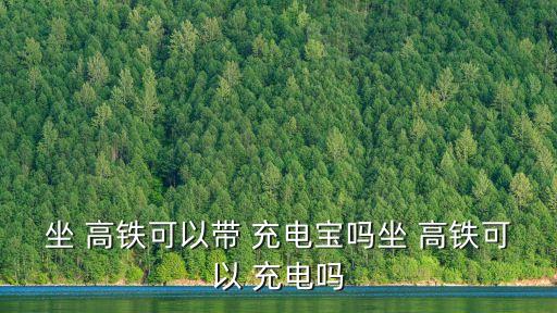 坐 高鐵可以帶 充電寶嗎坐 高鐵可以 充電嗎