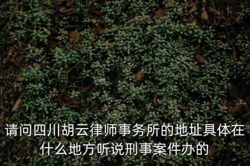 請問四川胡云律師事務(wù)所的地址具體在什么地方聽說刑事案件辦的