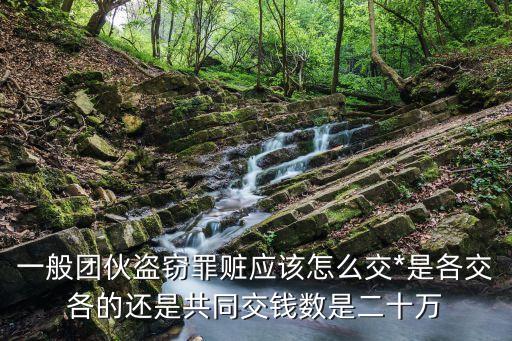 一般團(tuán)伙盜竊罪贓應(yīng)該怎么交*是各交各的還是共同交錢數(shù)是二十萬(wàn)
