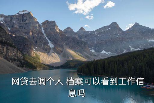  網貸去調個人 檔案可以看到工作信息嗎