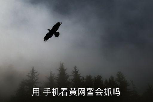 手機*站,無人高清電影免費完整版在線觀看