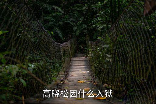 高曉松入獄，高曉松因什么入獄