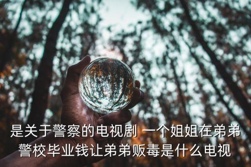 是關(guān)于警察的電視劇 一個姐姐在弟弟警校畢業(yè)錢讓弟弟販毒是什么電視