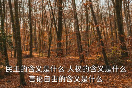 民主的含義是什么 人權(quán)的含義是什么言論自由的含義是什么