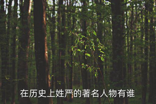 嚴震
