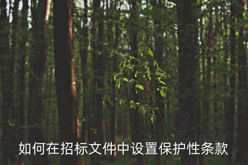 如何在招標(biāo)文件中設(shè)置保護(hù)性條款