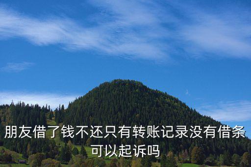 只有轉(zhuǎn)賬記錄沒有借條能起訴嗎，如果只有銀行匯款單沒有借條能否起訴對方