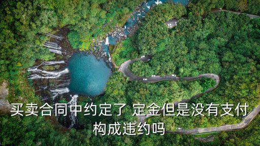定金條款何時(shí)生效,定金擔(dān)保何時(shí)生效