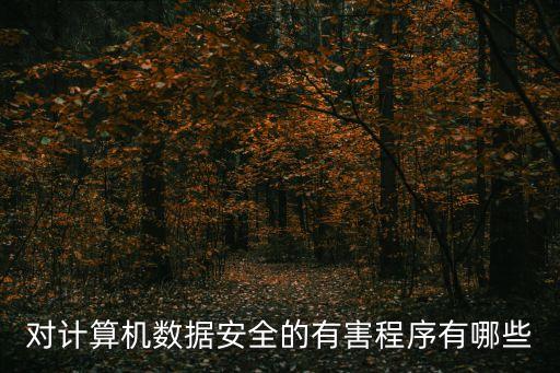 對(duì)計(jì)算機(jī)數(shù)據(jù)安全的有害程序有哪些