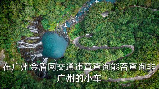 在廣州金盾網(wǎng)交通違章查詢能否查詢非廣州的小車