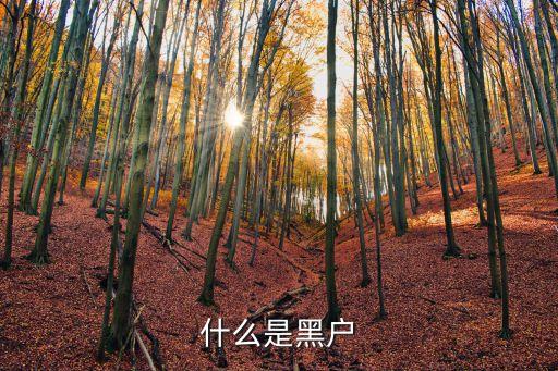 黑戶，黑戶的定義是什么