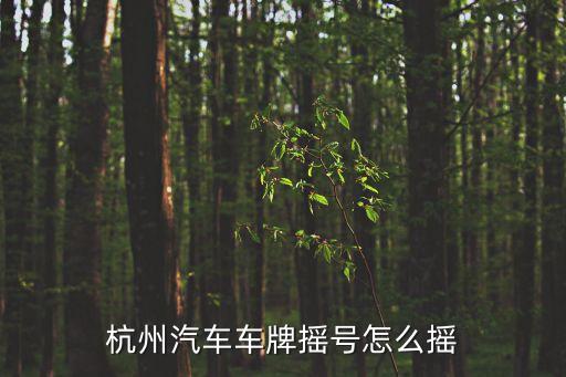 杭州小汽車搖號，現(xiàn)在杭州小客車搖號需要駕照嗎