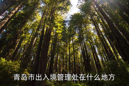 青島市出入境管理處在什么地方
