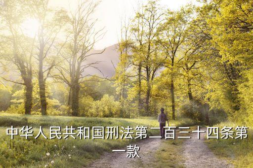 中華人民共和國刑法第二百三十四條第一款