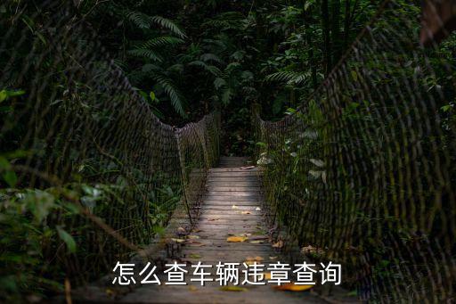 汽車查違章，汽車違章怎么查