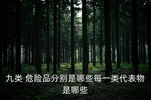 九類 危險品分別是哪些每一類代表物是哪些