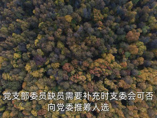支部委員補(bǔ)選，黨支部委員缺員需要補(bǔ)充時(shí)支委會(huì)可否向黨委推籌人選