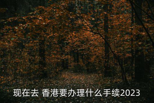 現(xiàn)在可以去香港嗎,港澳通行證現(xiàn)在可以去香港嗎