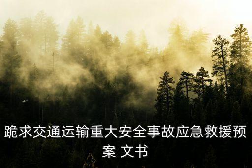 跪求交通運(yùn)輸重大安全事故應(yīng)急救援預(yù)案 文書(shū)