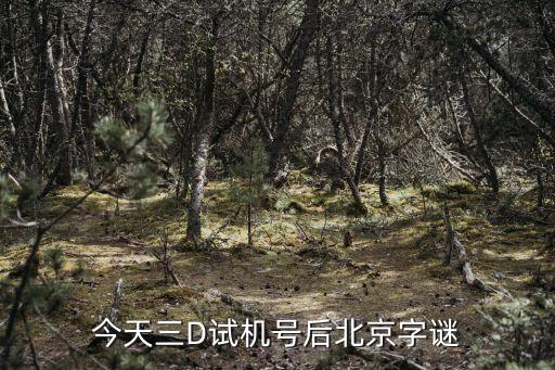 北京試機(jī)號(hào)謎語(yǔ)，今天北京試機(jī)號(hào)謎語(yǔ)解釋