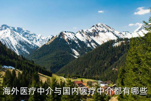 醫(yī)療中介，中國有哪些靠譜的海外醫(yī)療中介機構(gòu)可以選擇