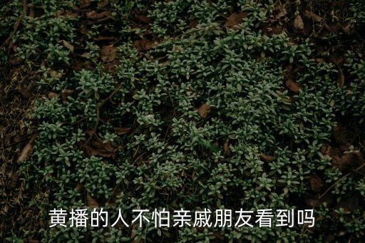 小黃片直播
