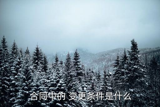  合同中的 變更條件是什么