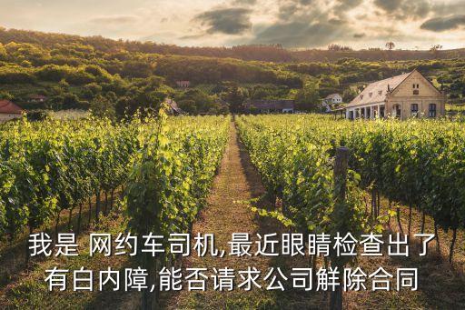 網(wǎng)約車(chē)最新消息,沈陽(yáng)抓網(wǎng)約車(chē)最新消息
