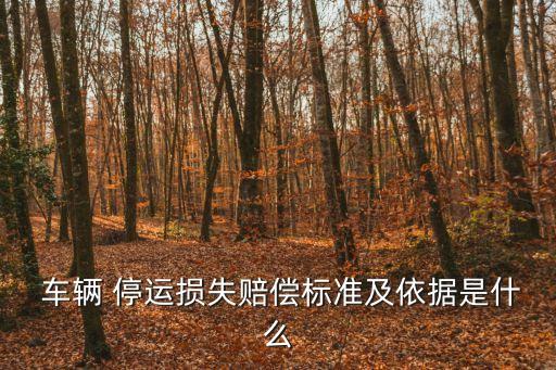 車輛停運(yùn)損失費(fèi)