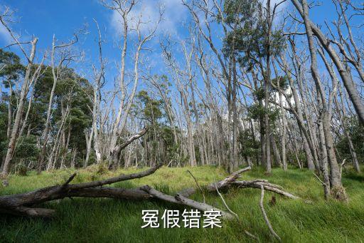 冤假錯案