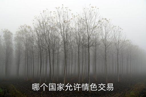 哪個(gè)國家允許情色交易