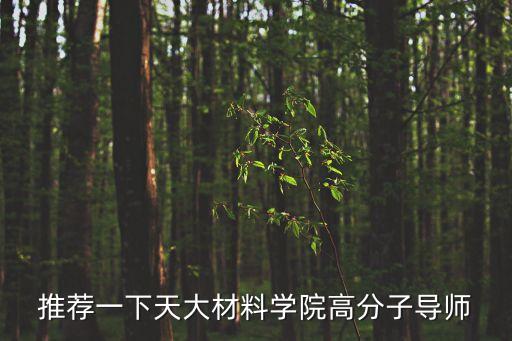 推薦一下天大材料學(xué)院高分子導(dǎo)師