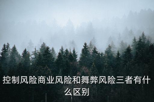 商業(yè)風(fēng)險，商業(yè)投資有哪些風(fēng)險